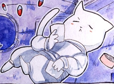 Chat